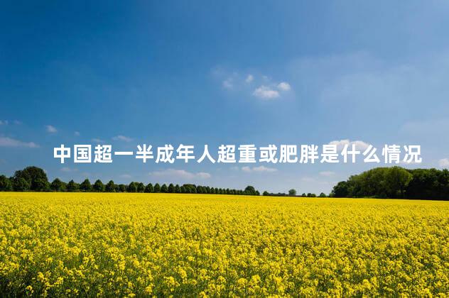 中国超一半成年人超重或肥胖是什么情况 中国有多少人有肥胖问题
